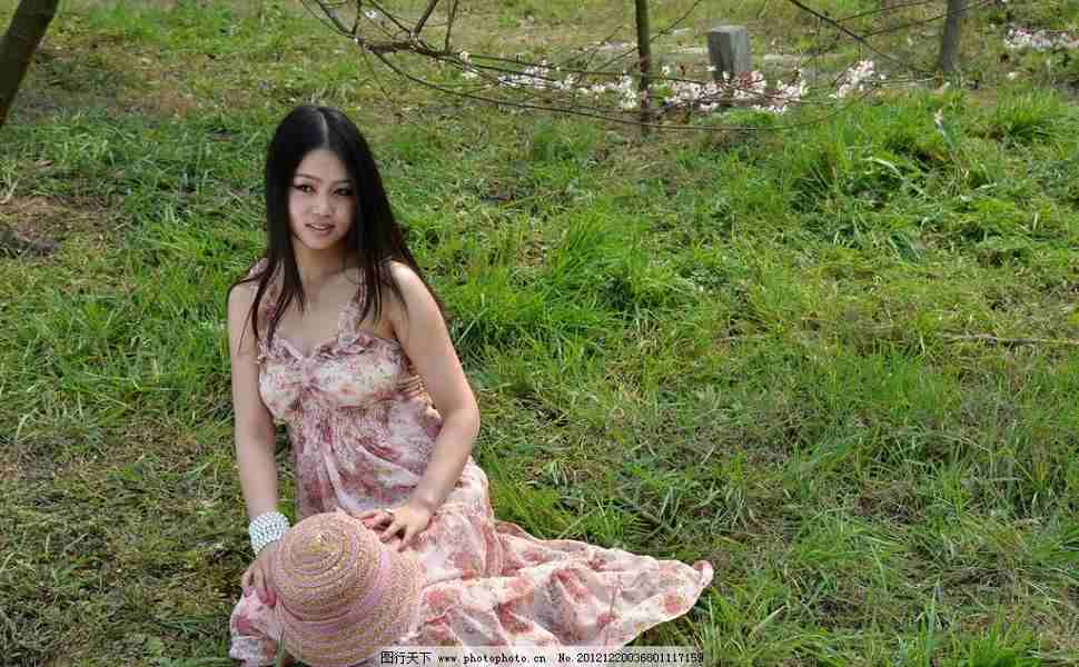 美国cn2站群服务器